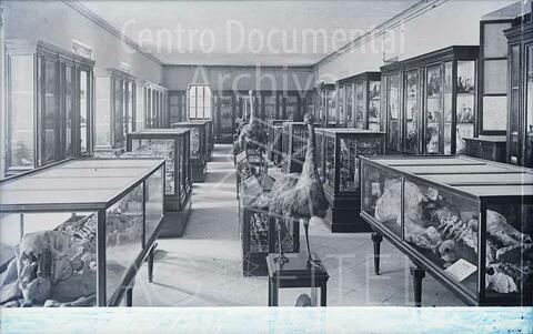 Open original Documentos