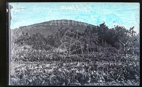 Open original Documentos