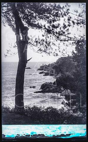 Open original Documentos