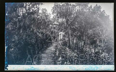 Open original Documentos