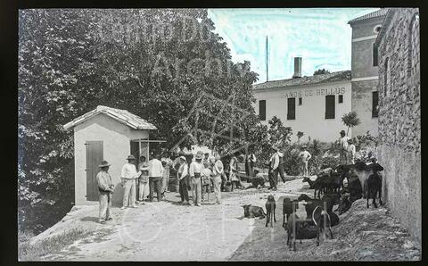 Open original Documentos