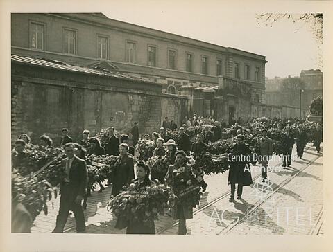 Open original Documentos