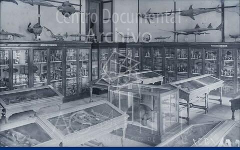 Open original Documentos