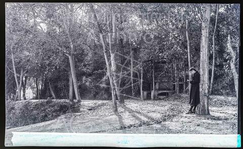 Open original Documentos