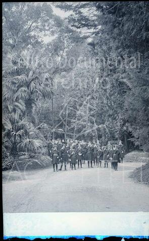 Open original Documentos