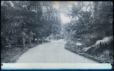 Open original Documentos