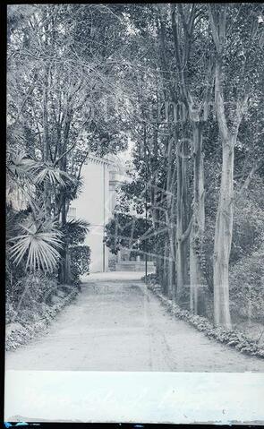 Open original Documentos