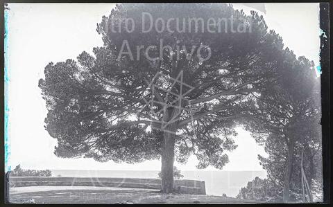 Open original Documentos