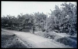 Godella (Valencia). Colegio del Sagrado Corazón