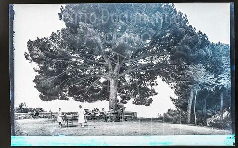 Open original Documentos