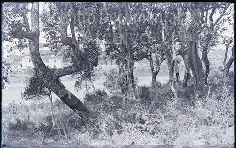 Open original Documentos