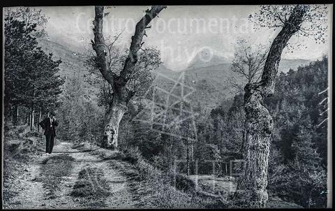 Open original Documentos