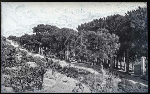 Open original Documentos