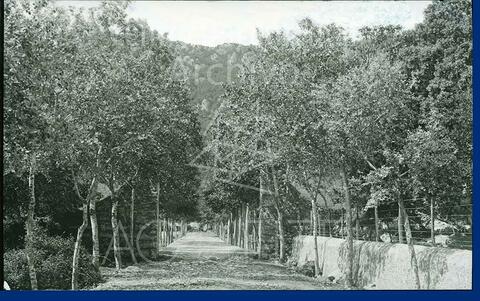 Open original Documentos