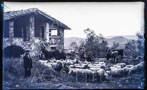 Open original Documentos