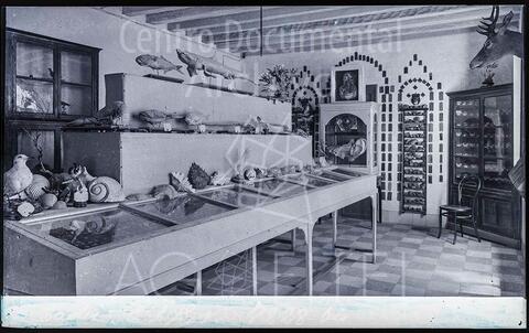 Open original Documentos