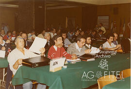 VIII Congreso de FEMCA