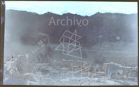 Open original Documentos