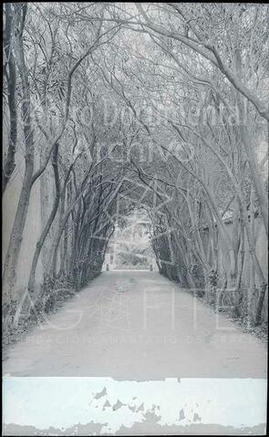 Open original Documentos