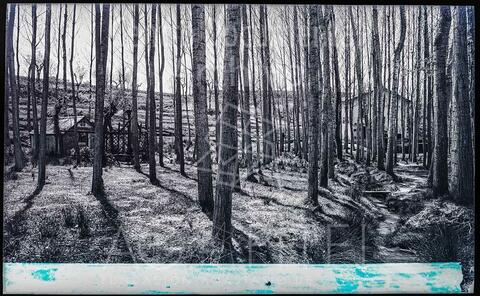 Open original Documentos