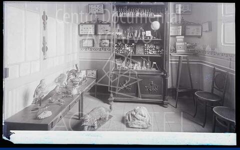 Open original Documentos