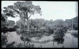 Godella (Valencia). Colegio del Sagrado Corazón
