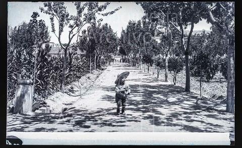 Open original Documentos