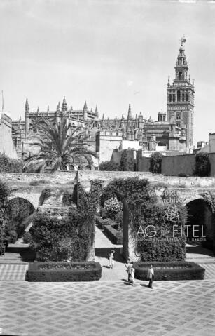 Open original Documentos