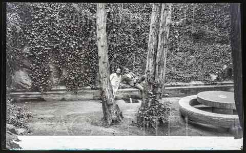 Open original Documentos