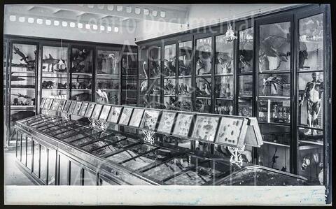 Open original Documentos