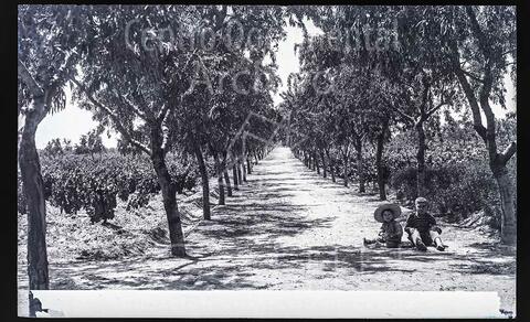 Open original Documentos