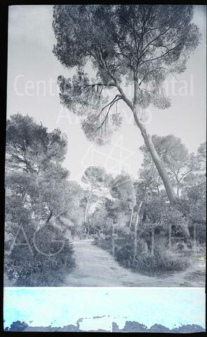 Open original Documentos