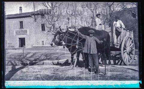 Open original Documentos