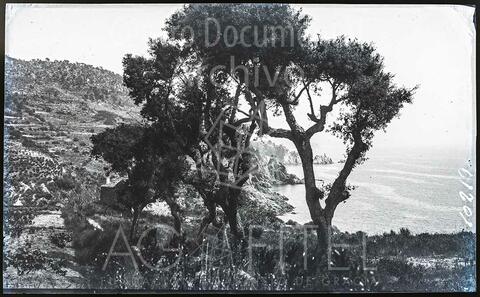 Open original Documentos