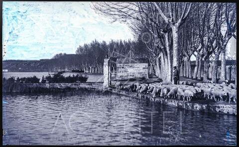 Open original Documentos