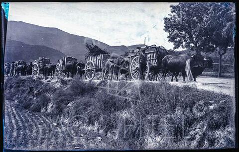 Open original Documentos