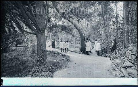 Open original Documentos