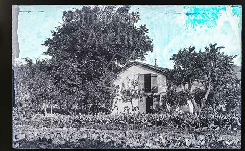 Open original Documentos