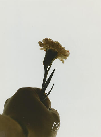 Open original Documentos