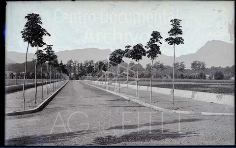 Open original Documentos