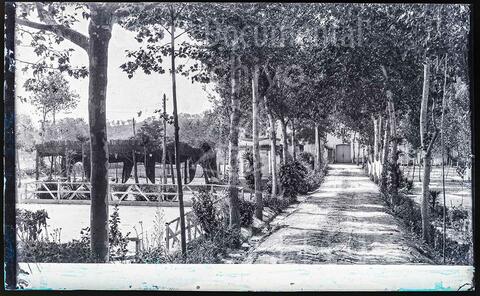 Open original Documentos