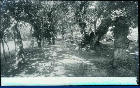 Open original Documentos