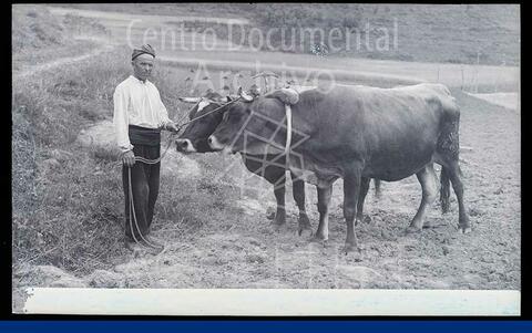 Open original Documentos