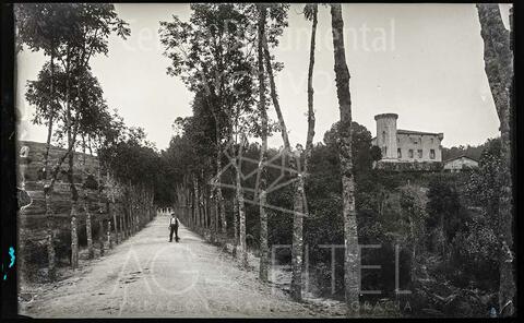 Open original Documentos