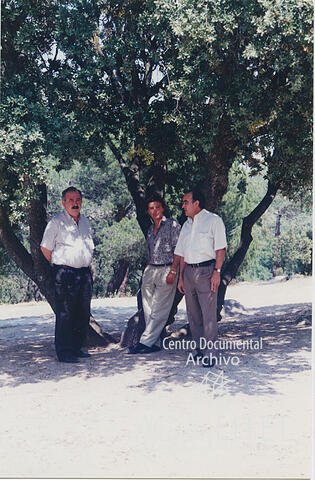 Open original Documentos