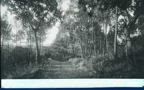Open original Documentos