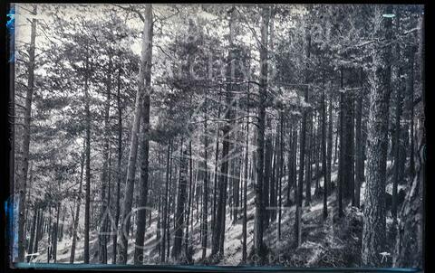 Open original Documentos