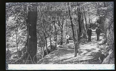 Open original Documentos