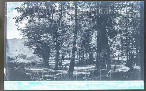 Open original Documentos