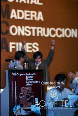 VIII Congreso de FEMCA